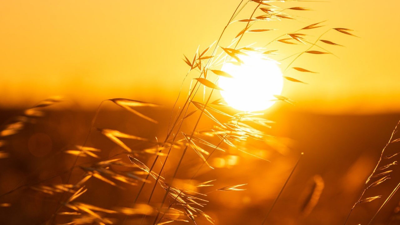 UV ışınları körlüğe kadar götürebilir