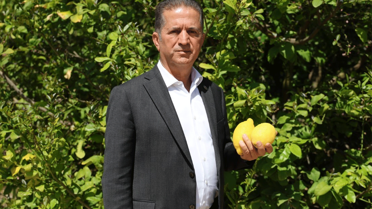 Uyanıklara bak sen: Limon stokçularının oyunu ortaya çıktı!