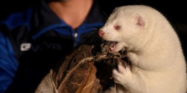 Uyarılar peş peşe geliyor! Dünyayı dehşete düşüren haber