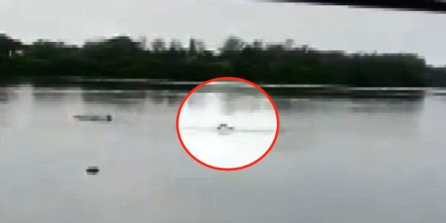Uyarılara rağmen göle giren şahıs, timsahlara yem oldu!