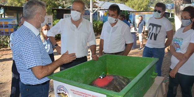 Uydu takip cihazı takılıp denize bırakıldı