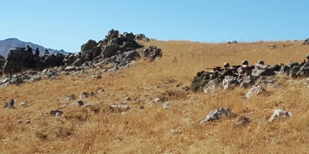 Uykudaki teröristler neye uğradığını şaşırdı