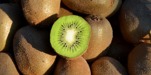 Uykusuzluğun çaresi kivide!