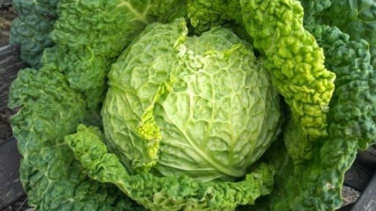 Uykusuzluk çeken kişiler bu gıdalardan tüketmeli