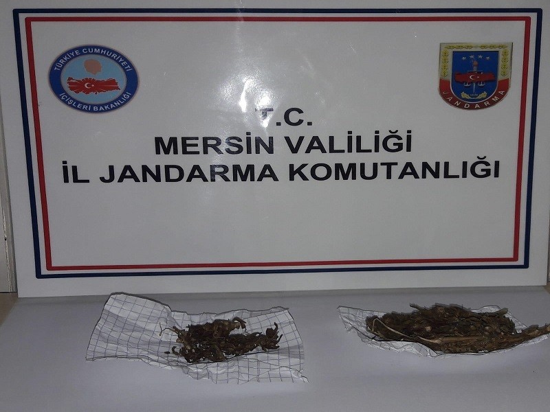 Uyuşturucu kullanan 1 kişi suçüstü yakalandı 