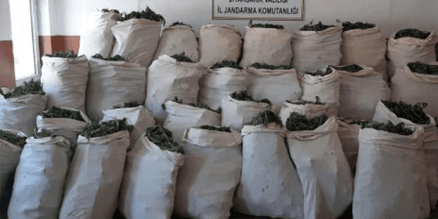 Uyuşturucu operasyonlarında 264 bin şüpheli yakalandı!