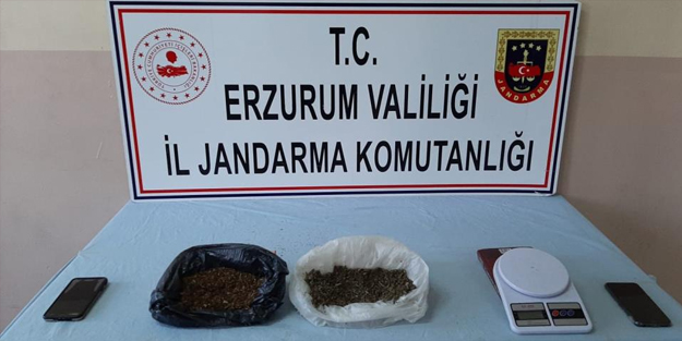 Uyuşturucu operasyonu: Çok sayıda bonzai ele geçirildi