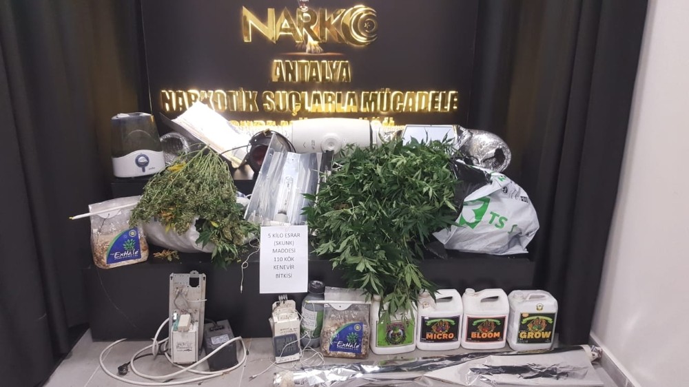 Uyuşturucu serasına çevrilen eve polis baskını 