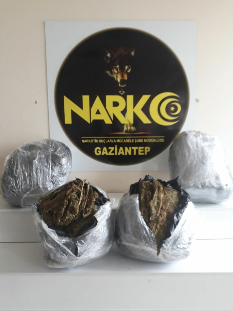 Uyuşturucu sevkıyatına darbe: 42 kilo esrar yakalandı 