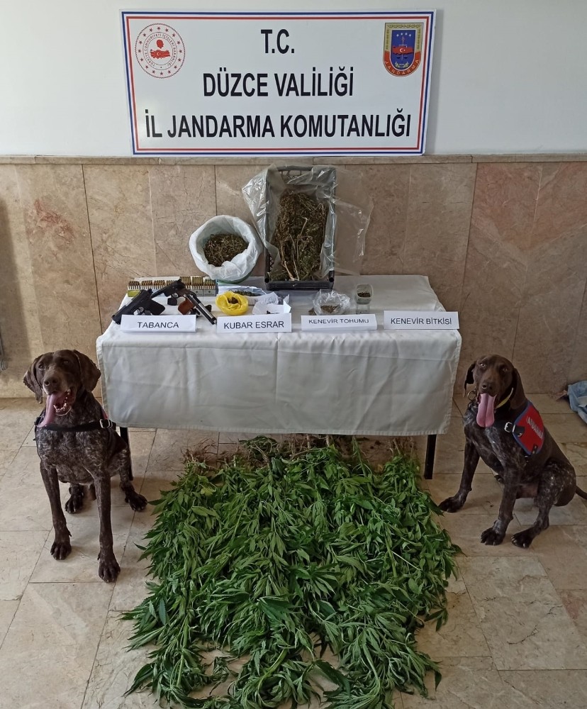 Uyuşturucu tacirlerine köpekli aramada suçüstü 