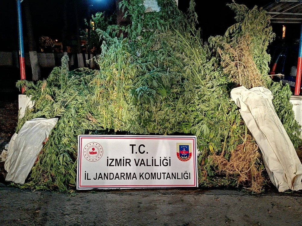 Uyuşturucu tüccarlarına darbe 