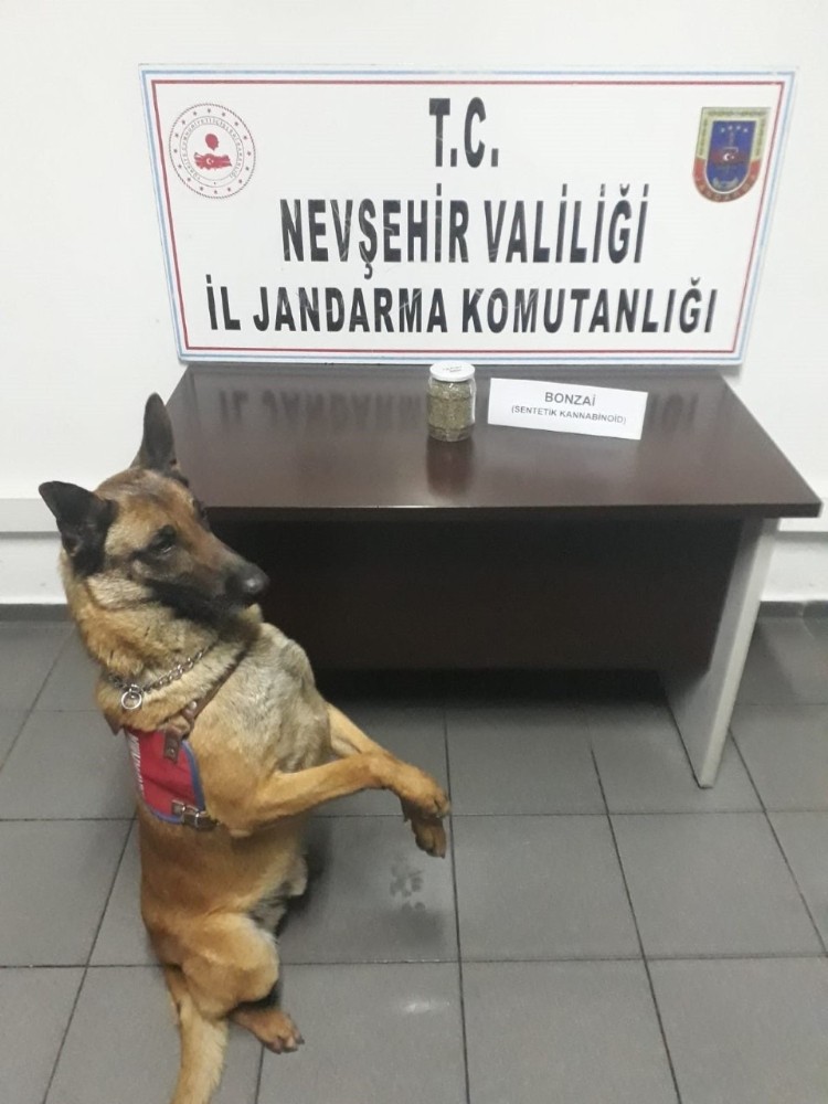 Uyuşturucudan 2 şüpheli yakalandı 