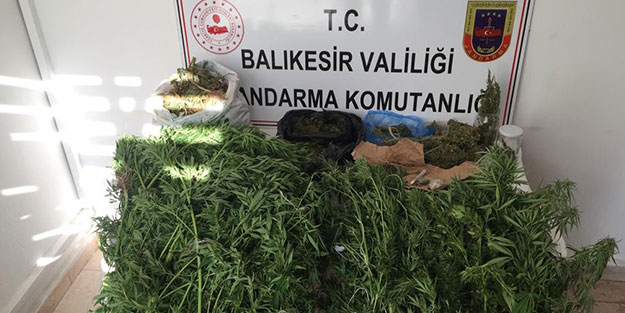 Uyuşturucuyla mücadelede ağır darbe! 166 bin kişi yakalandı, tonlarca uyuşturucu ele geçirildi