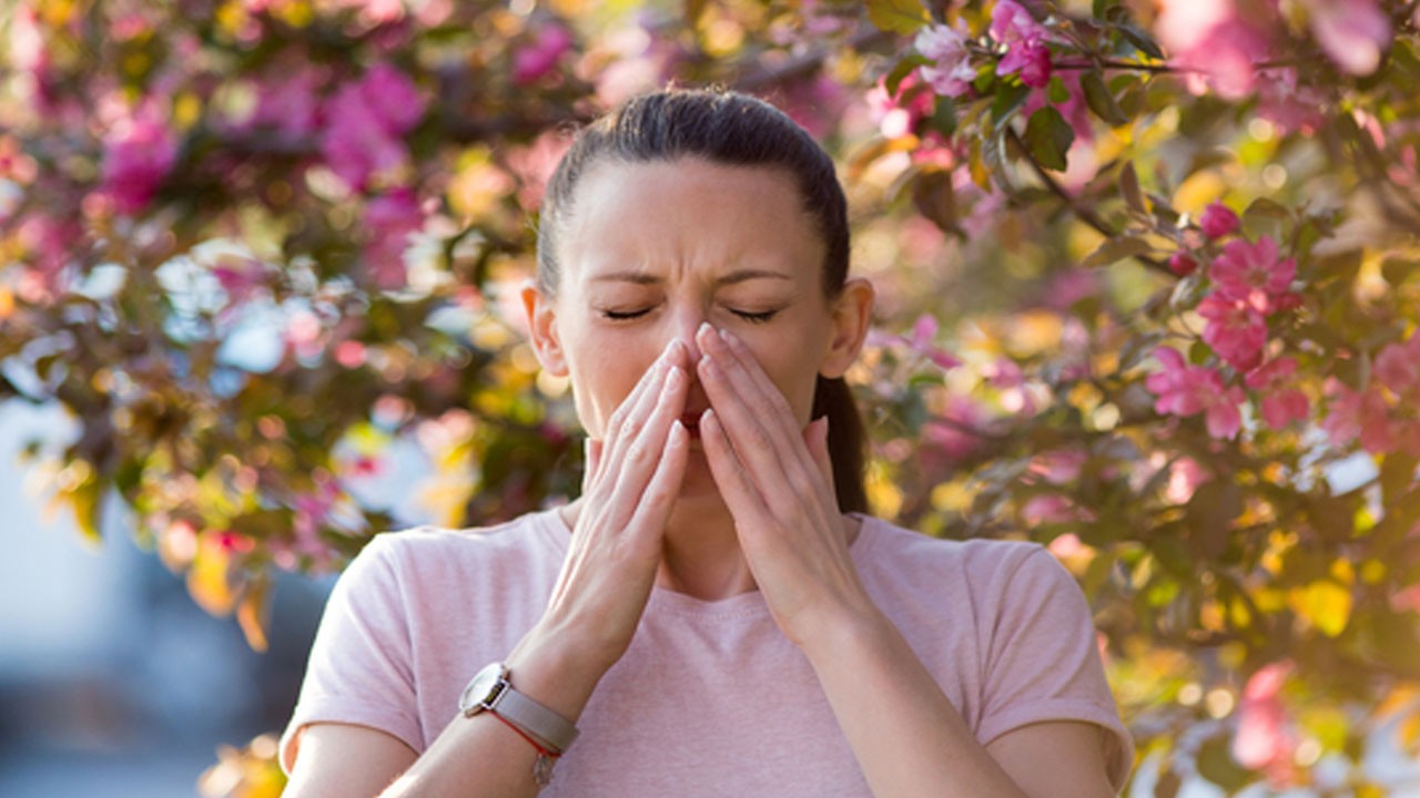 Uzak durun: Polenler solunum yolu hastalıklarını tetikliyor ortaya çıktı!