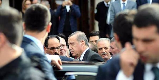 Uzaktaki kamera merak uyandırdı!