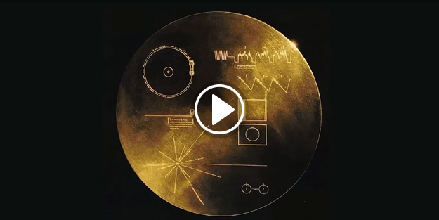 Uzaylılar için üretilen altın plak satışa sunuldu