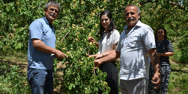 Üzerinde o lekelerden çıktı! Alan da satan da şaşkın… Fiyatı 40 kuruşa düştü!