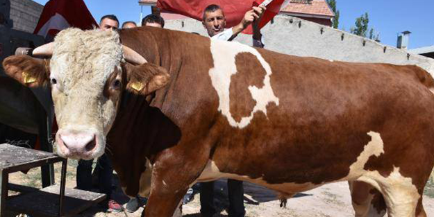 Üzerindeki desenden dolayı kesmeye kıyamadılar, Erdoğan'a hediye edecekler