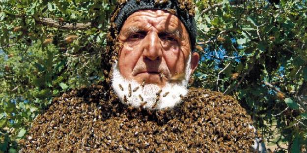 Üzerine 50 bin arı konuyor, maskesiz çalışıyor