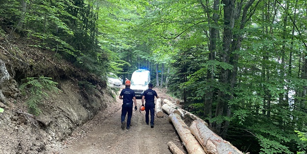 Üzerine ağaç düşen kişi kurtarıldı
