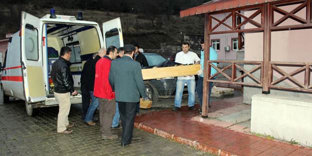 Üzerine ağaç yuvarlanan işçi öldü