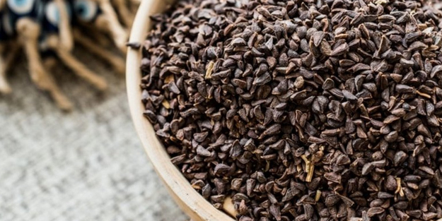 Üzerlik tohumunun hiç duyulmamış faydaları | Üzerlik otu ne işe yarar?