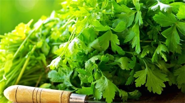 Uzm. Dyt. Keçeci: Çağın hastalıklarına şifa olan besinler