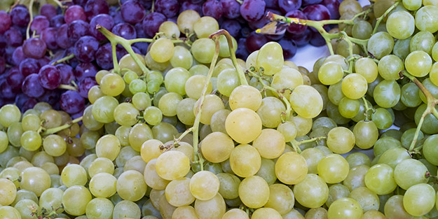 Uzman açıkladı! İşte üzümün bilinmeyen faydaları