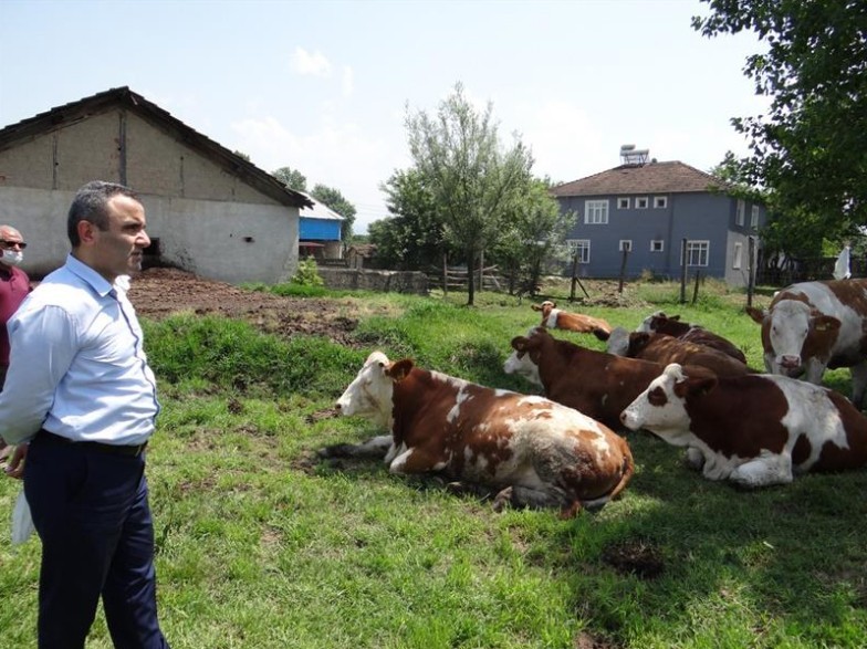 Uzman eller projesi Düzce’de başladı 