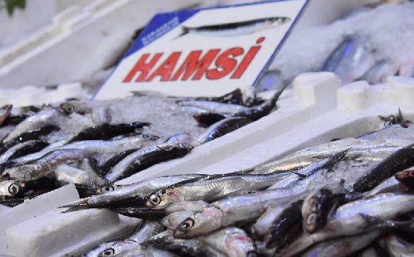 Uzman isim açıkladı! Bakın Karadeniz'i hangi tehlike bekliyor