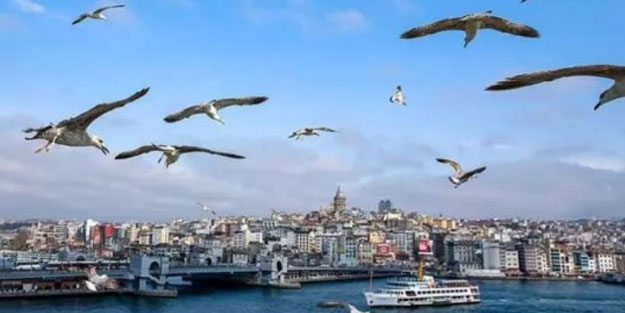 Uzman isim açıkladı: Pastırma yazı geliyor