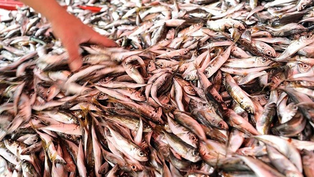 Uzman isim herkesin merak ettiği soruyu cevapladı! İşte kışın depresyondan kurtulmanın yolu