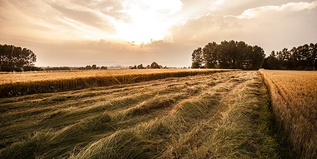 Uzman isim 'O iki bölgeden arsa alın' diyerek bombayı bıraktı: Hemen alın konut fiyatları çıldıracak