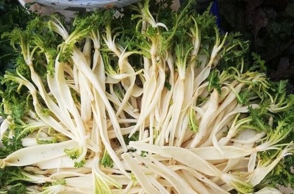 Uzman isim tek tek açıkladı! Bu bitki taş düşürmede birebir