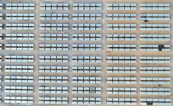 Uzman isim tek tek açıkladı! Konteynerde yaşarken bunlara dikkat edin