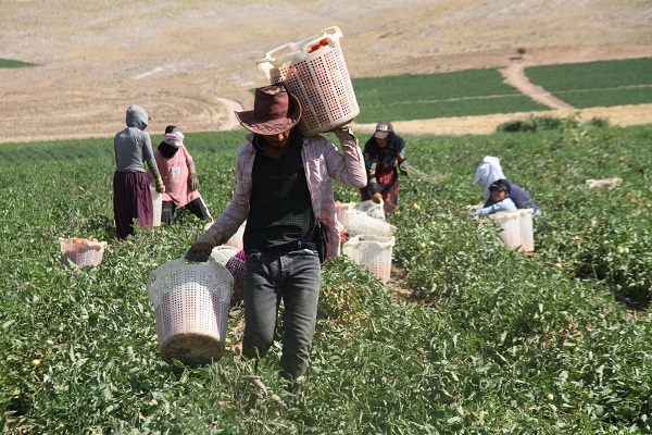 Uzman isim uyardı: Çalışma saatleri modifiye edilmeli