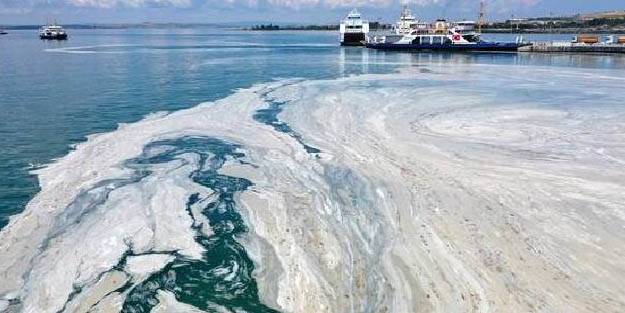 Uzman isim uyardı! Marmara'da yeniden müsilaj tehlikesi