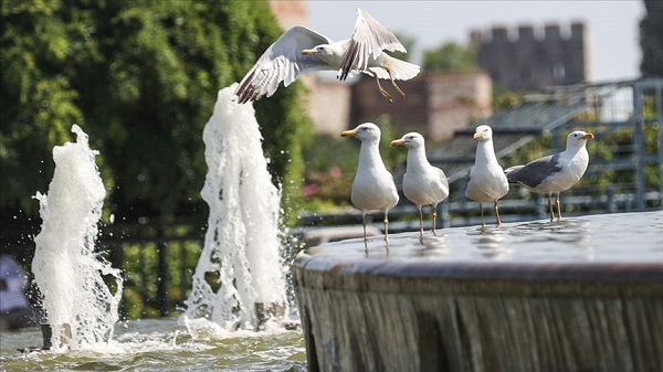 Uzman isimden açıklama geldi! Bu hafta hava nasıl olacak?