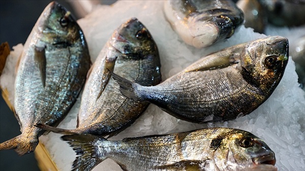 Uzman isimden korkutan açıklama! Deniz ürünleri sanıldığı gibi masum değil mi?