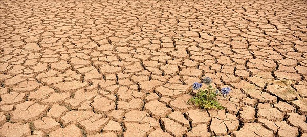Uzman isimden korkutan senaryo! Küresel ısıma bu hastalıklara yol açacak
