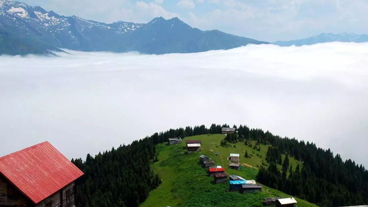 Uzman isimden önemli uyarı! Karadeniz yaylalarında ölümcül risk!