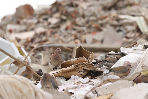 Uzman isimden uyarı! İçinize atmayın paylaşın