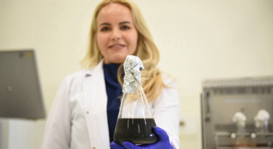 Uzmanı bilgilendirdi! O bitkide anti-kanser özelliği tespit edildi