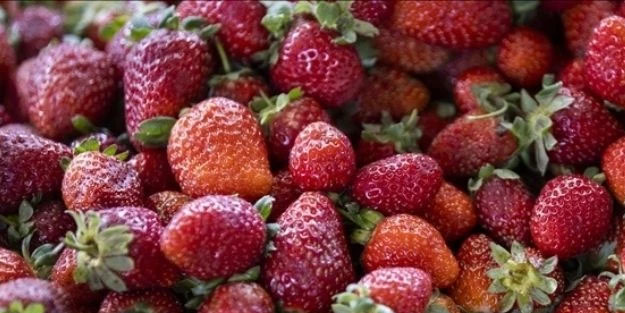 Uzmanı kötü haberi verdi: Flavonoid bakımından zengin gıdaların demans riskini azaltabileceği ilan edildi!