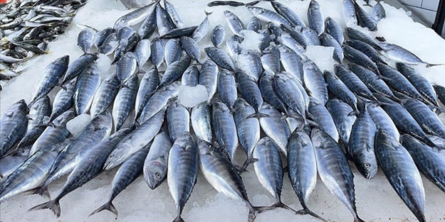 Uzmanı önerdi! İşte sağlıklı yaş almak için 6 besin