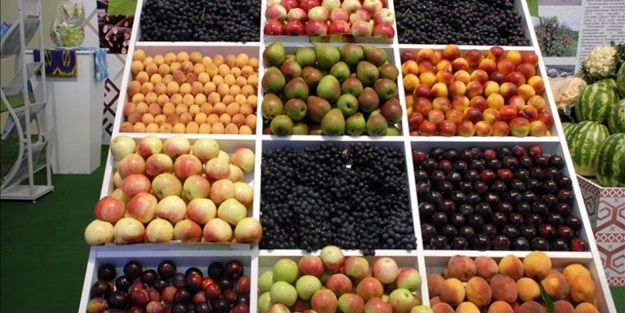 Meyve alırken dikkat! Uzmanından ilginç öneri...