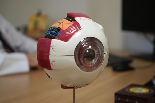 Uzmanından korkutan açıklama! 2050 yılında dünya nüfusunun yüzde 50'sini etkileyecek