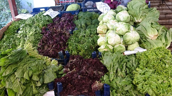 Uzmanından önemli tavsiye! Mevsim geçişlerinde bu gıdaları eksik etmeyin