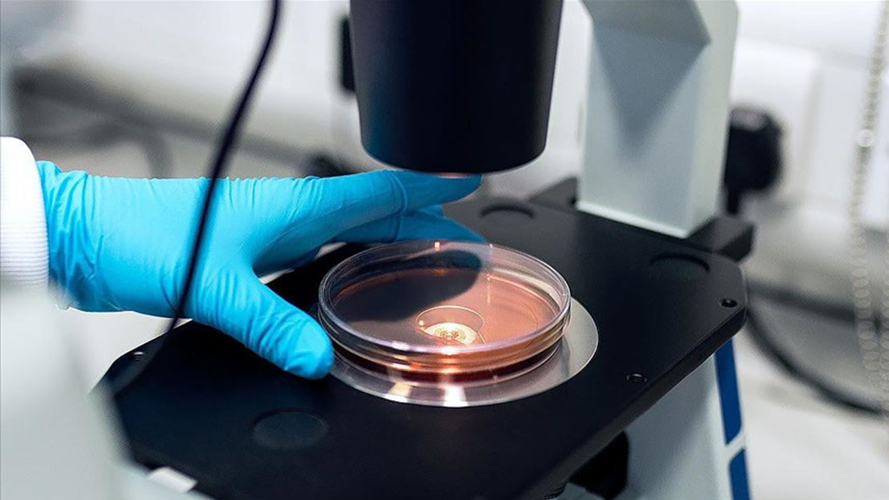 Uzmanlar açıkladı: Ölümcül virüsün sonu mu geliyor?