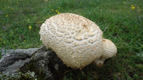 Uzmanlar anlatıyor ama... Kimse bu uyarıları dinlemiyor